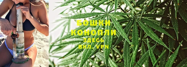 каннабис Верея