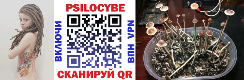 Псилоцибиновые грибы MAGIC MUSHROOMS  где купить   Голицыно 